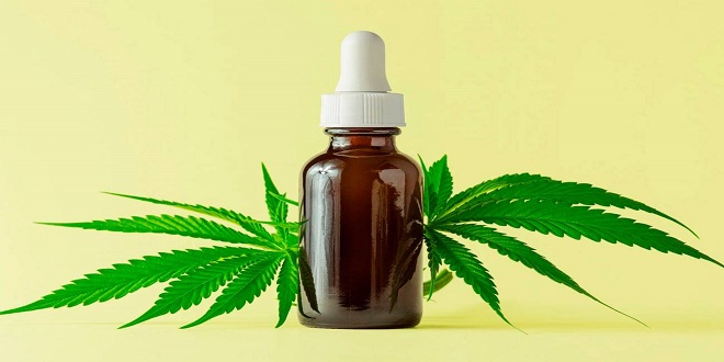 Best CBD Oil Review Top High Quality CBD Oils to Buy in 2022