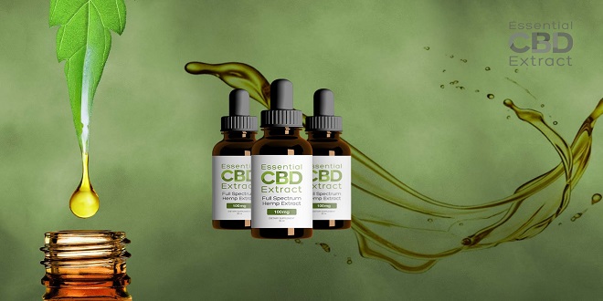 Essential CBD Oils and How They Work