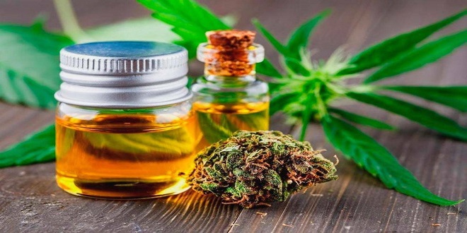 How to Buy CBD Oil Finding the