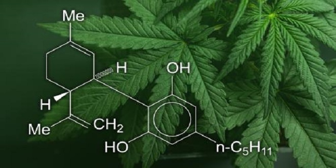 Why should I use CBD from natural sources?